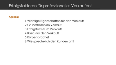 Erfolgsfaktoren für professionelles Verkaufen